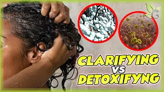 Clarifying or Detoxifying your hair, What’s the difference?