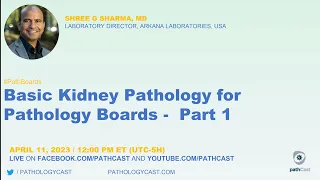 #PATHBOARDS  Basic Kidney Pathology for Pathology Boards - Part 1