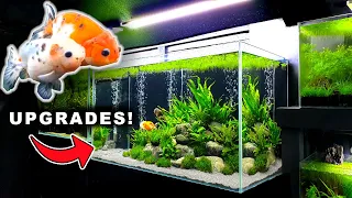 💚 GOLDFISH AQUARIUM UPGRADE! 🅑🅤🅑🅑🅛🅔🅢 & 🅖🅡🅐🅥🅔🅛