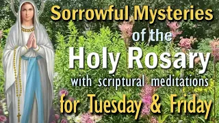 The Holy Rosary, Sorrowful Mysteries for Tuesday & Friday with Scriptural Meditations & Wildflowers