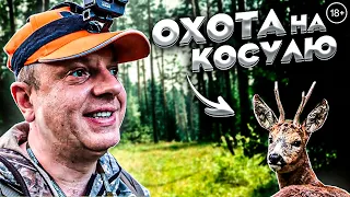 УДАЧНАЯ ОХОТА на КОСУЛЮ. Рёв или гон? Козел перехитрил собаку.