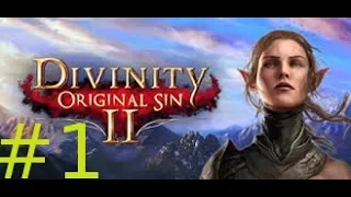 DIVINITY ORIGINAL SIN 2 | TAKTIKER MODUS | deutsch |  #1 Mit einem Mord fing alles an