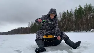 ЗИМНЯЯ РЫБАЛКА в январе.Окунь и плотва на мормышку.