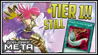 10-0! Harpies STILL Tier 1! Cannot Be Stopped!? [Yu-Gi-Oh! Duel Links]