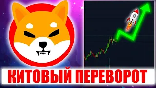 ДЕРЖИТЕ SHIBA INU! КИТЫ ЗАКУПАЮТСЯ (СИБА - ИНУ ПРОГНОЗ)