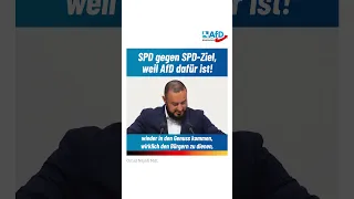 SPD gegen SPD-Ziel, weil AfD dafür ist!