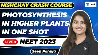 Photosynthesis In Higher Plants in One Shot | NEET 2023 | Nishchay Crash Course | Seep Pahuja