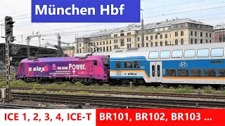 München Hbf:🚆 ICE1, ICE2, ICE3, ICE4, ICE-T, BR101, BR102, BR103, BR111, ÖBB Taurus, ALEX-Züge ...
