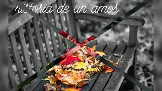 Historia de un amor...instrumental