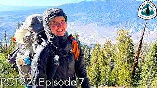 Running To In-N-Out (Pacific Crest Trail 2022: Episode 7)