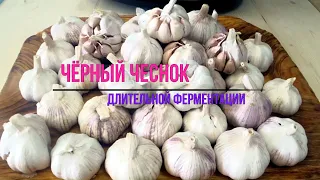 Черный чеснок (Black Garlic) / Чёрный чеснок как приготовить в домашних условиях / Паста из чеснока