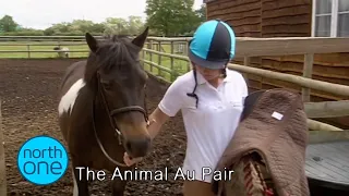 The Animal Au Pair: Looking after Kids & A Zoo! The Full Documentary