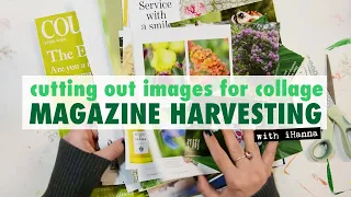 Magazine harvesting with iHanna | Looking for MORE IMAGES #gluebook