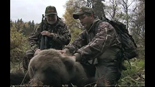 Bear Bay Lodge - Brown Bear Hunt