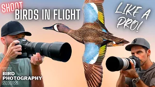 NOT Getting Great BIRDS IN FLIGHT Photos? Here's What To Do!