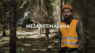 Meža retināšana