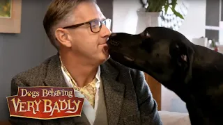 Dogs Behaving Very Badly - Series 1, Episode 4 | Full Episode