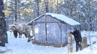 15 Days Alone in the Forest: My Winter in the Cabin From December to March