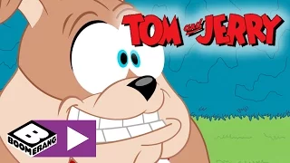 Tom & Jerry | Let's Play Ball | Boomerang UK