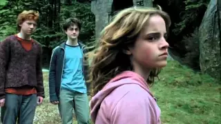 "You foul, loathsome, evil, little cockroach!" | Harry Potter and the Prisoner of Azkaban