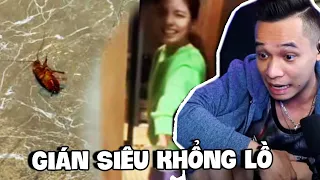 (Talkshow) Cuộc chiến với Tiểu Cường siêu to khổng lồ, Độ Tày thể hiện kỹ năng bắt gián siêu chất.