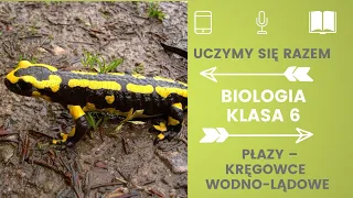 Biologia klasa 6. Płazy - kręgowce wodno-lądowe. Uczymy się razem