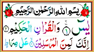 Surah Yasin(Yaseen) | Full With Arabic | Beautiful recitation| سورة يس By Sheikh Mujib tilawat.