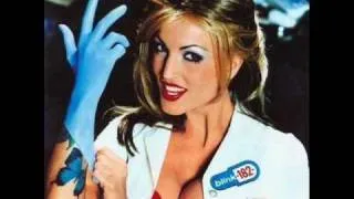 Blink 182 - Aliens Exist Live (Enema Import)