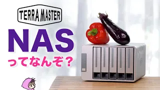 NASってなんぞ？10GbE搭載TerraMaster F5-422レビュー