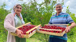 Delicious Rustic Homemade Cherry Jam! Relaxing Life In The Village