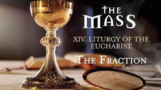 The Mass: XIV - Liturgy of the Eucharist - The Fraction