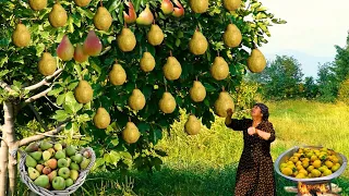 Harvesting Fresh Fruits in the Village 2 - 1 Hour Of The Best Fruit Recipes