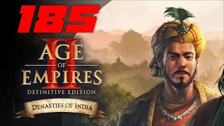 Жемчужина Востока ⚔ Прохождение Age of Empires 2: Definitive Edition #185 [Бабур]