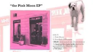 Lo-Fi Sucks! - Pink Moon