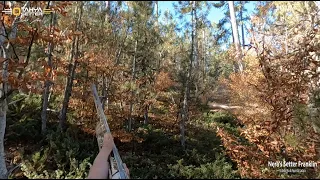 Woodcock Hunting İn Turkey (10)#beccaccia #woodcock #вальдшнеп μπεκάτσα