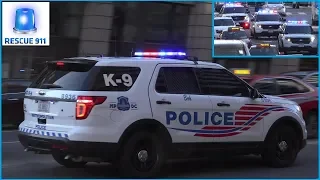 [Washington DC] 3x Metropolitan Police K-9 (Hi-Lo, Rumbler)