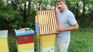 Supering Bees for Nectar (Honey) Flow