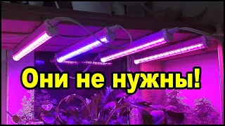 Фитолампы для рассады вам не нужны!