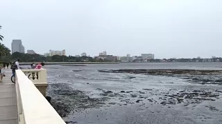 Irma sucks water out of Sarasota Bay