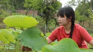 【二米炊煙】China's Summer Harvest, Cook with Lotus Leaf. 夏收時節，為家人做5種簡單又健康的美食