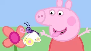 Peppa Pig in Hindi - Mendhak, Keede aur Titli - हिंदी Kahaniya - Hindi Cartoons for Kids