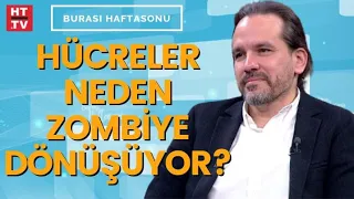 Zombi hücreler tedavi edilebilir mi? Prof. Dr. Korkut Ulucan anlattı