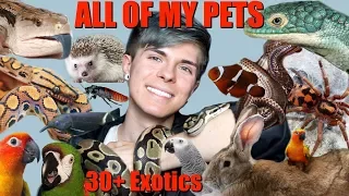 MEET ALL OF MY PETS! (Over 30 Exotic Animals) 2018 | Tyler Rugge