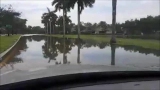 В Майами дожди! In Miami it's raining!