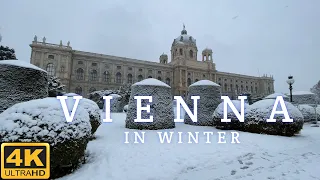 Winter Walk in Vienna || Vienna Walking in the Snowfall 4K UHD