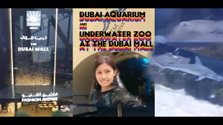 dubai aquarium and underwater zoo  at the dubai mall part 1