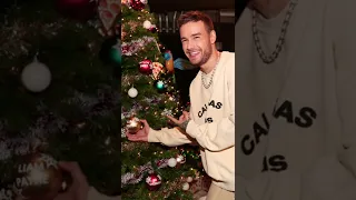 Liam Payne at Christmas time