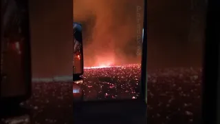 ❗Огненный торнадо в Калифорнии🔥Начало "апокалипсиса" Fire Tornado in California 🔥 12. 09. 2020 🔥🔥🔥