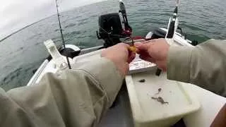 Fishing from Inflatable Dinghy part 1