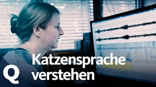 Katzensprache: Diese Frau kann "kätzisch" übersetzen | Quarks